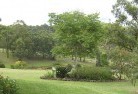 Lidcombe Northresidential-landscaping-40.jpg; ?>